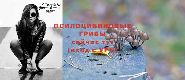 соль ск Белокуриха
