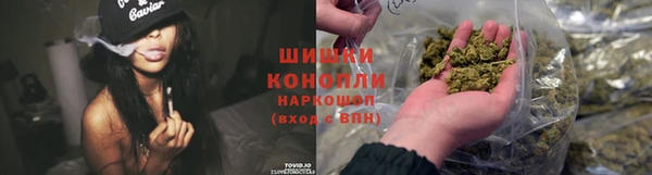 соль ск Белокуриха
